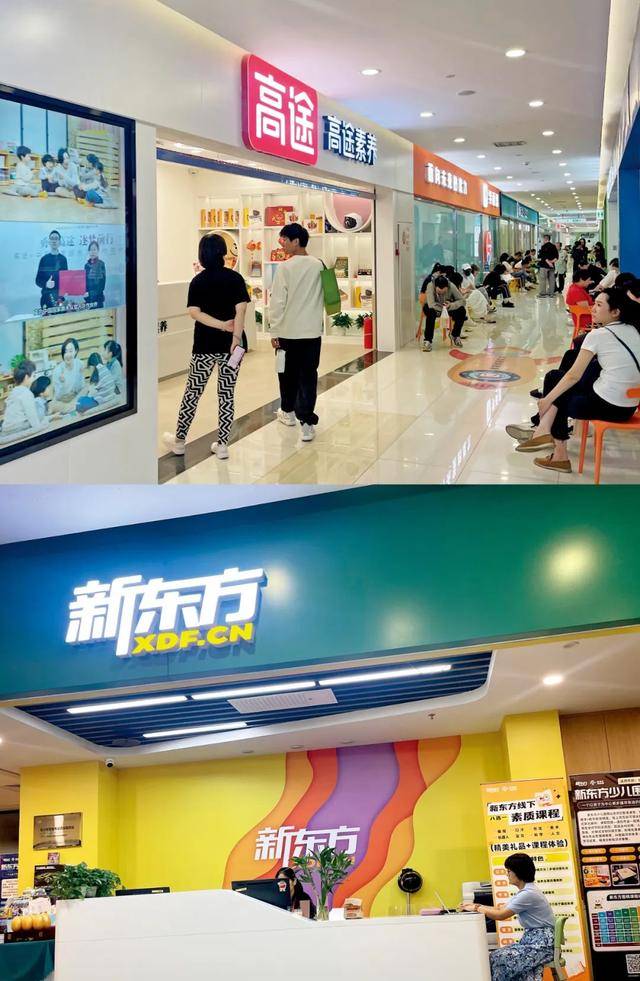 培训机构<strong></p>
<p>东北证券官网</strong>，重新“霸占”商场