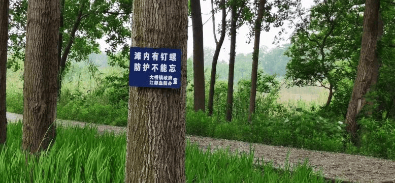 一旦接触<strong></p>
<p>ADA交易app</strong>，10秒即可感染！汛期谨防这种病→