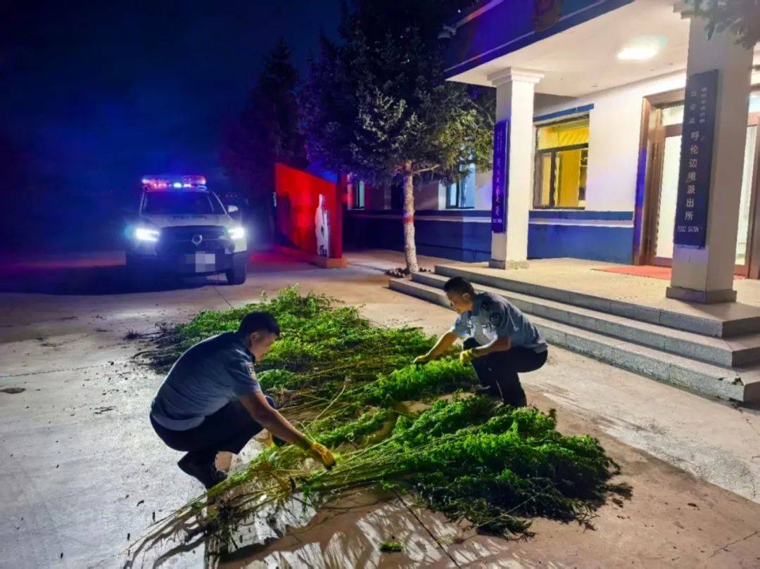 中国留学生因用手机拍照翻译遭拘押<strong></p>
<p>抹茶交易平台</strong>，中使馆紧急提醒！【新闻早知道】