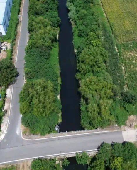 去年整改过的“黑水河”<strong></p>
<p>抹茶交易平台</strong>，今年怎么又黑了？ | 新京报快评