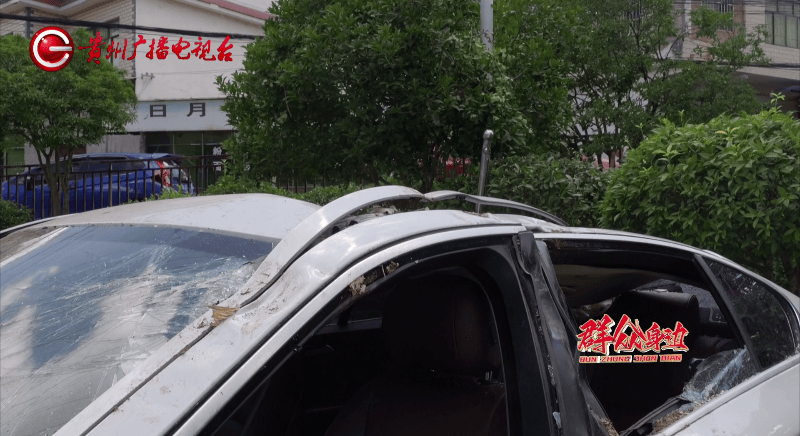 贵阳一700年古树砸扁“宝马”<strong></p>
<p>BITOP交易平台</strong>，现场惨不忍睹，林业局：车主他也有错