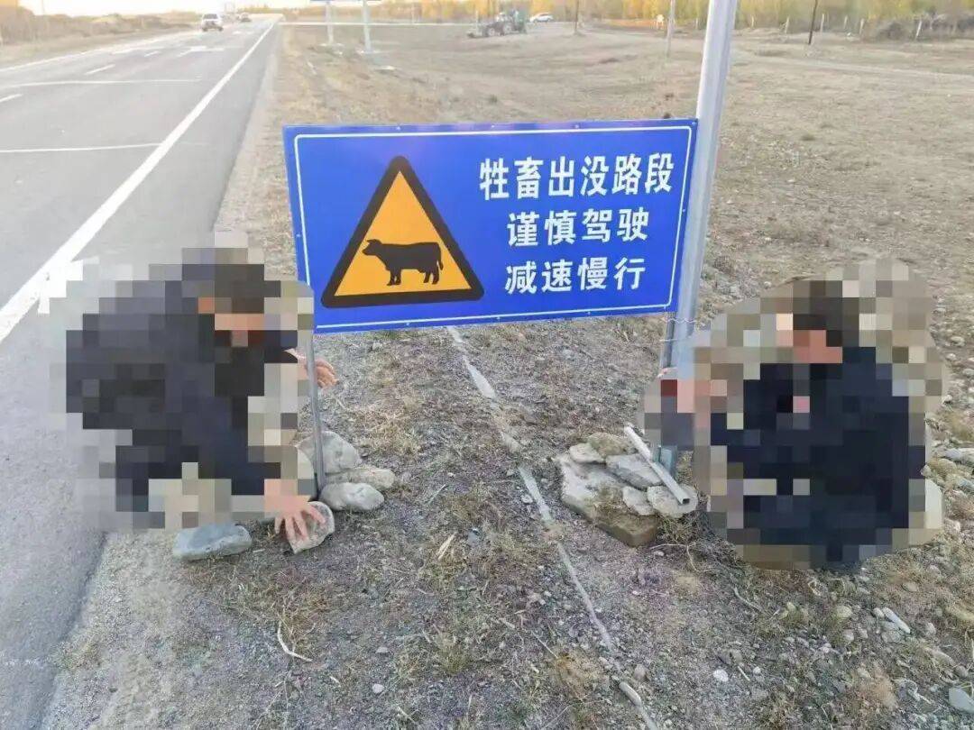 羊群效应<strong></p>
<p>BITOP交易平台</strong>！青海羊群过马路行至道路黄虚线附近时均出现跳跃动作