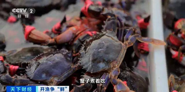 价格大降<strong></p>
<p>ETH交易平台</strong>，很多人爱吃！消费者：期待已久了