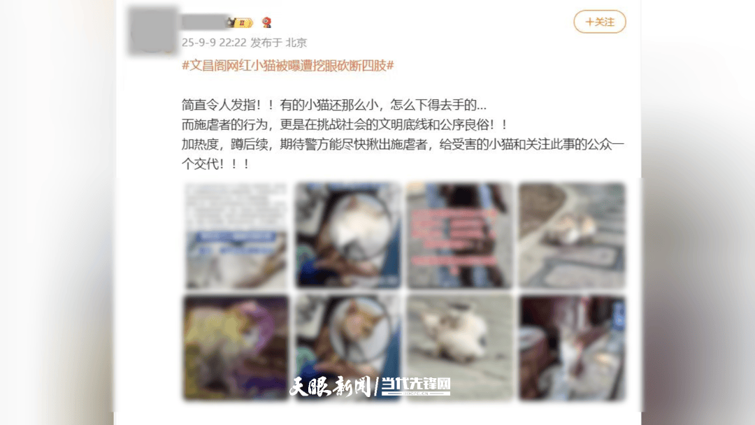 大反转<strong></p>
<p>XRP交易平台</strong>！贵阳“挖眼虐猫”事件系AI编造