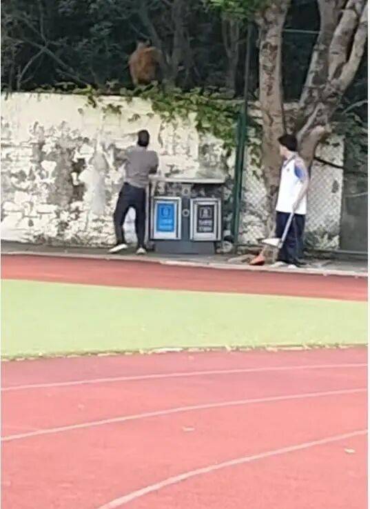 福建一公办职中保安被指当学生面<strong></p>
<p>波卡币交易平台</strong>，从3米高墙扔出流浪狗！福清教育局：将核实情况