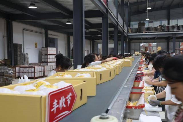 在拼多多单月卖出5000吨莱阳梨<strong></p>
<p>币安币交易平台</strong>,95后新农人为何“收编”果园?