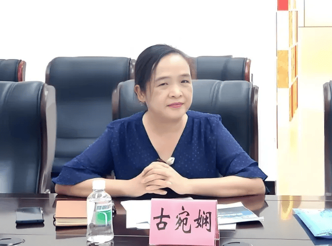 古宛娴<strong></p>
<p>ADA交易平台</strong>,被查