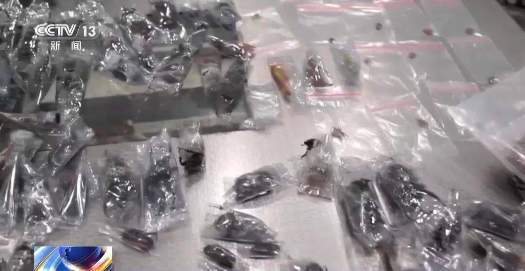 掀开衣服<strong></p>
<p>ADA交易平台</strong>,密密麻麻!200多只活虫惊现深圳机场……