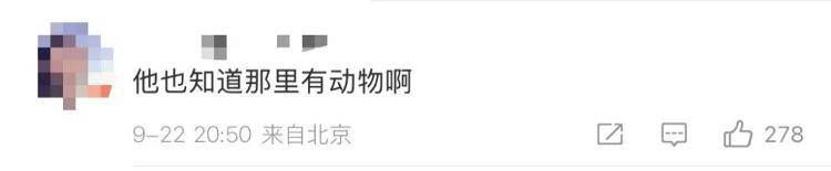 “感谢大家支持我大闹天宫……”蔡国强烟花秀现场感言视频披露<strong></p>
<p>ADA交易平台</strong>,又遭质疑!