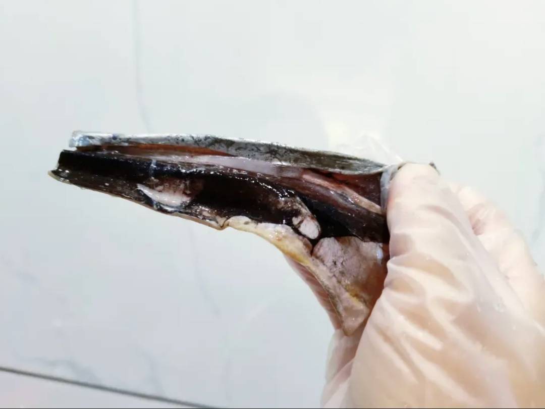 这种“国民廉价鱼”<strong></p>
<p>BCH交易平台</strong>,一直被低估!其实营养价值超高