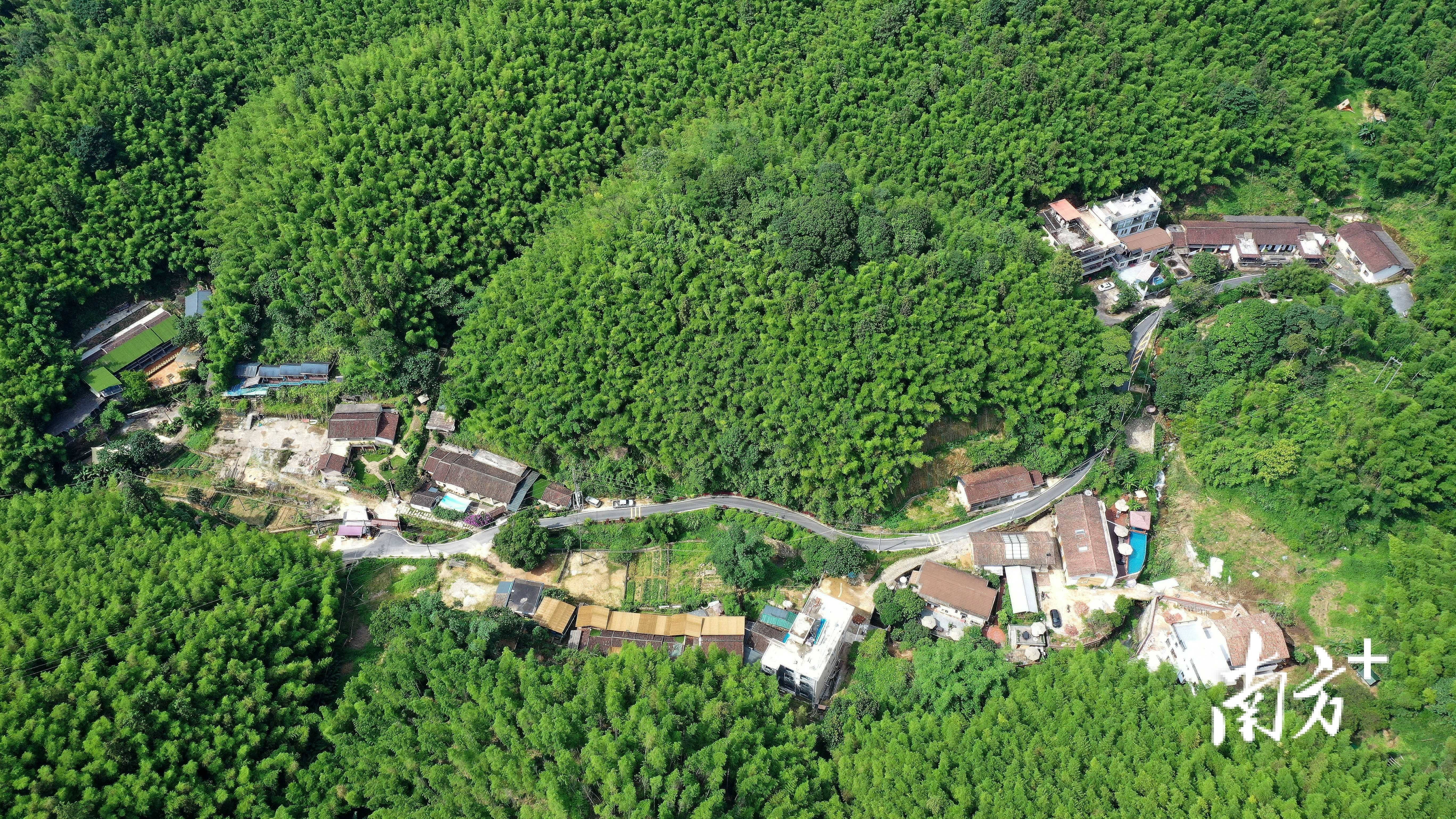 广东“两山”改写城乡融合故事