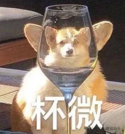 这场晚会台下简直是追星现场<strong></p>
<p>比特现金交易平台</strong>，名场面太多了吧？