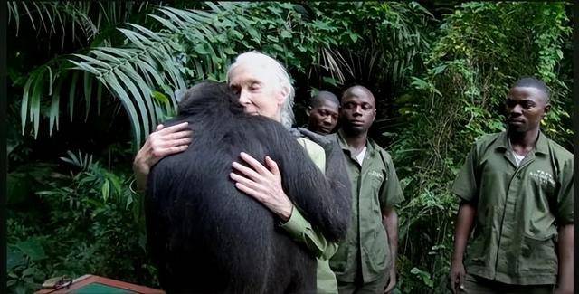 “课本上的传奇”<strong></p>
<p>LTC交易平台</strong>,走了