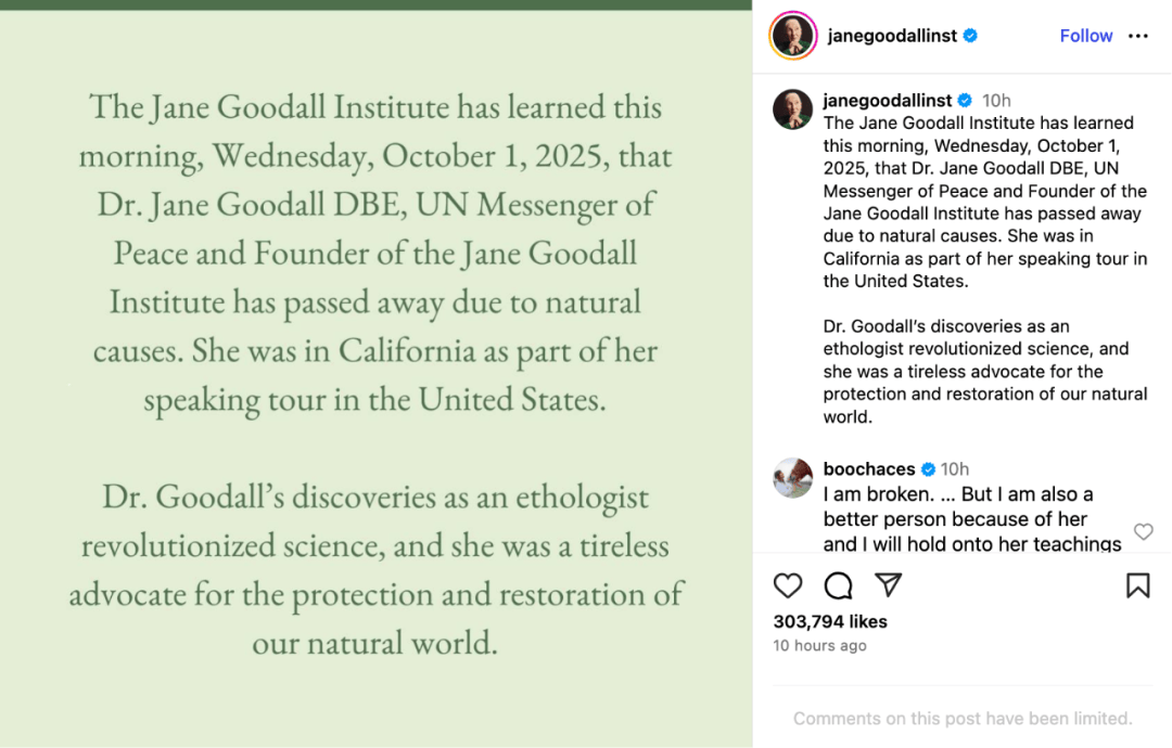 珍·古道尔：她无法看着动物受苦<strong></p>
<p>LTC交易平台</strong>，就像没法看着人类受苦｜逝者