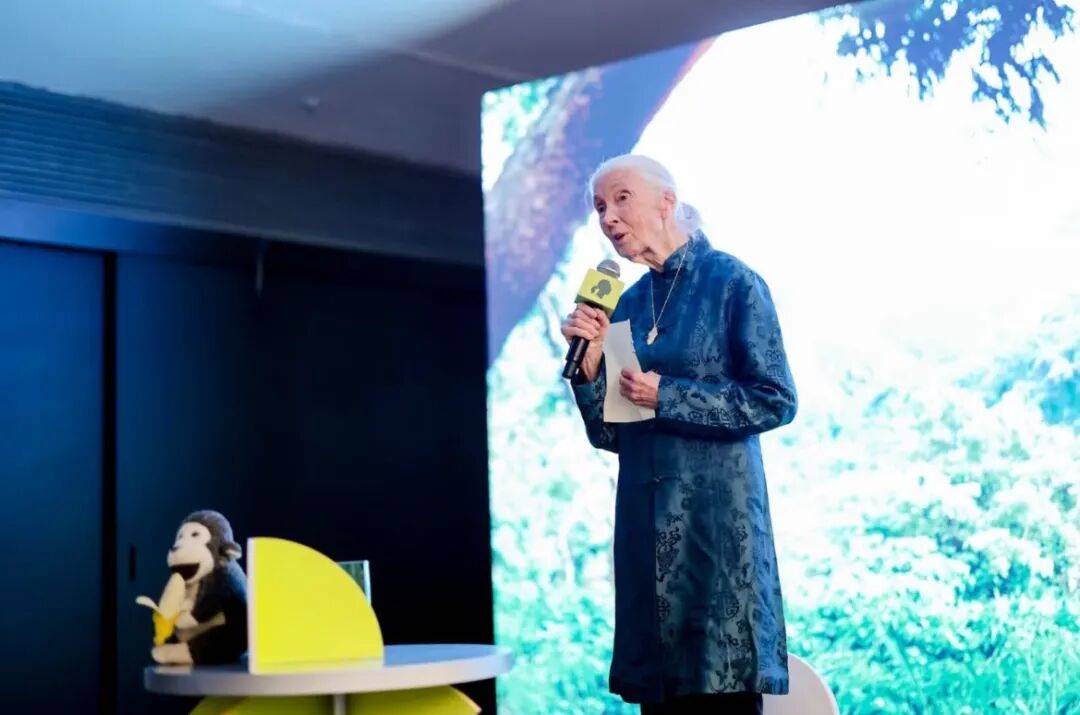 珍·古道尔：她无法看着动物受苦<strong></p>
<p>LTC交易平台</strong>，就像没法看着人类受苦｜逝者