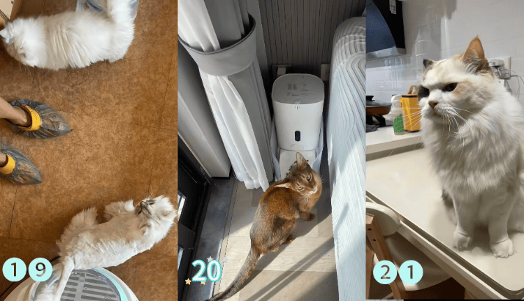 需求激增!男子长假连接270单<strong></p>
<p>莱特币交易平台</strong>,其中一笔收费8100元,“我有多套房,有双学位,客户很信任”;律师提醒→