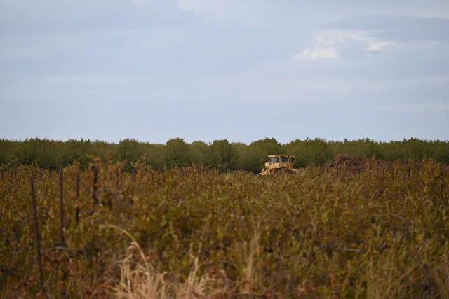 “这是<strong></p>
<p>莱特币交易平台</strong>我从业30年来最严峻的局面”