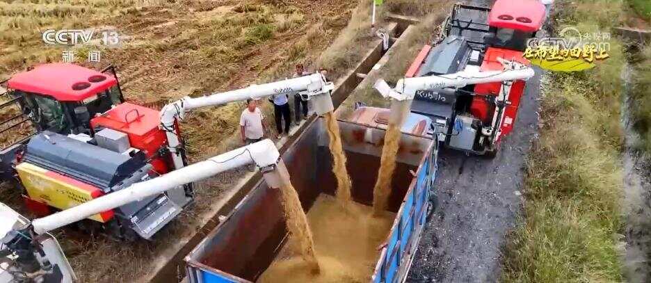 风吹稻浪、瓜果飘香 希望的田野呈现一幅“大地流金”的丰收图景