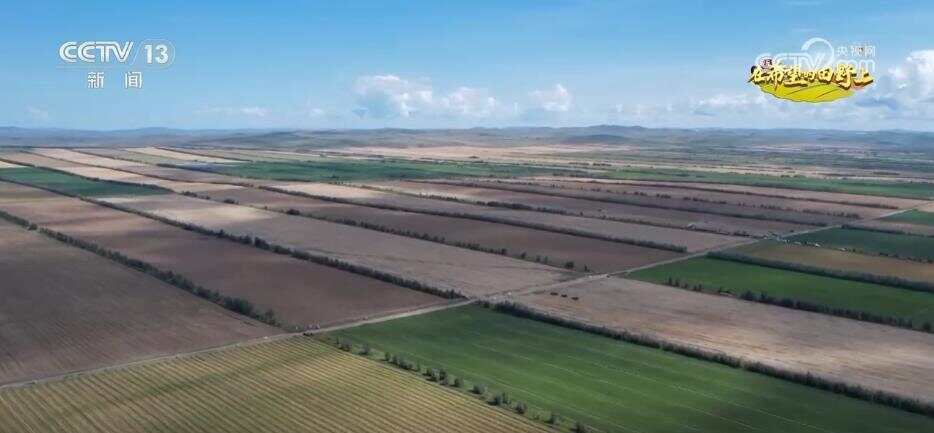 风吹稻浪、瓜果飘香 希望的田野呈现一幅“大地流金”的丰收图景