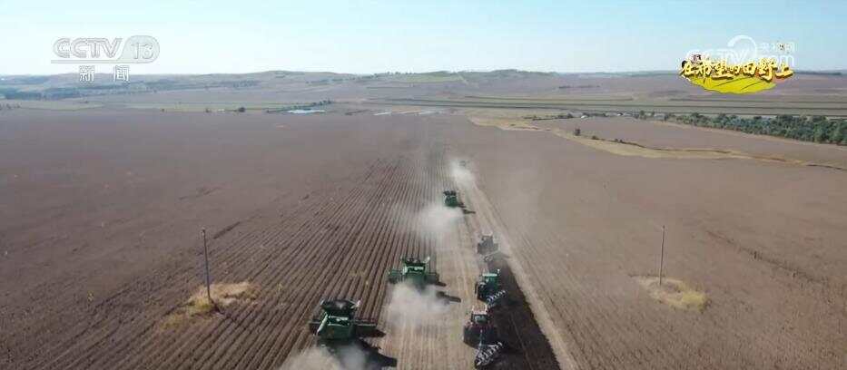 风吹稻浪、瓜果飘香 希望的田野呈现一幅“大地流金”的丰收图景
