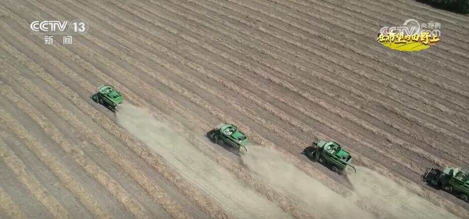 风吹稻浪、瓜果飘香 希望的田野呈现一幅“大地流金”的丰收图景