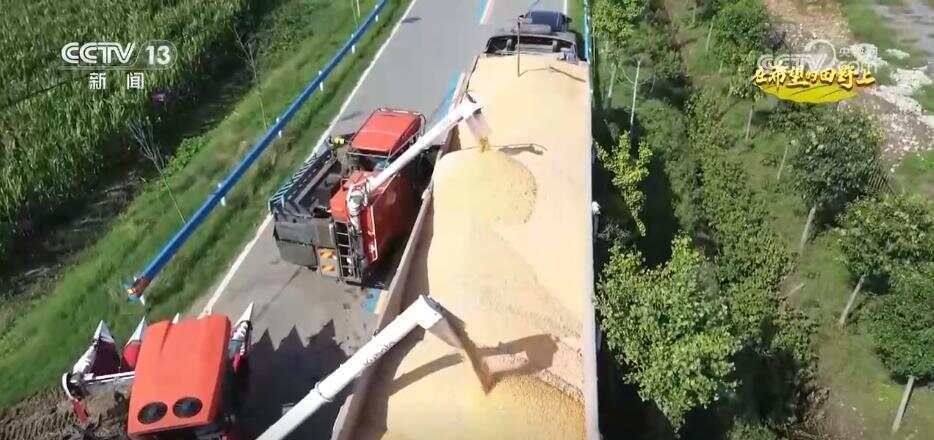 风吹稻浪、瓜果飘香 希望的田野呈现一幅“大地流金”的丰收图景