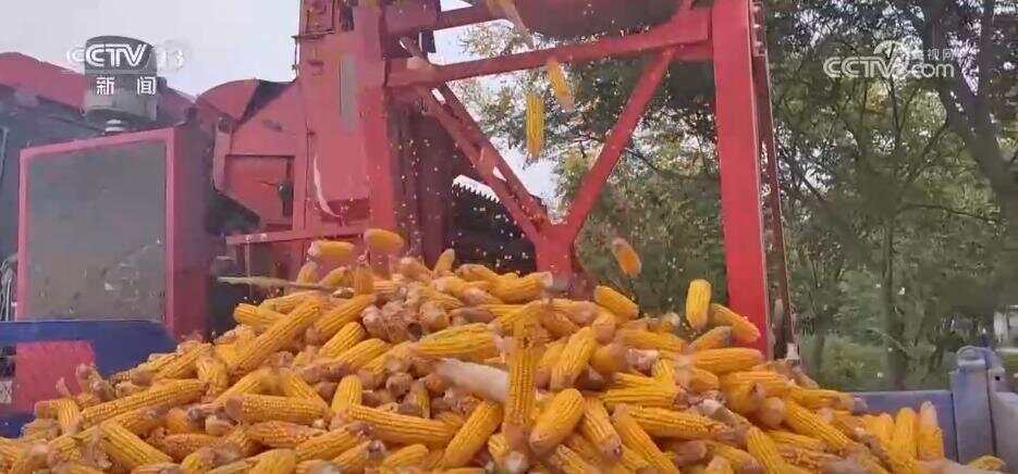 风吹稻浪、瓜果飘香 希望的田野呈现一幅“大地流金”的丰收图景