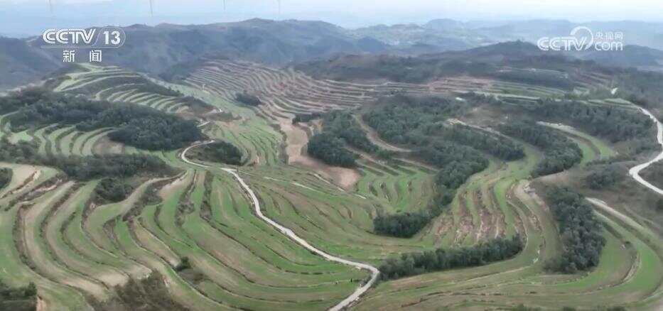 风吹稻浪、瓜果飘香 希望的田野呈现一幅“大地流金”的丰收图景