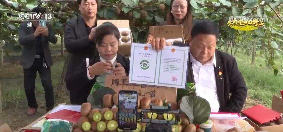 风吹稻浪、瓜果飘香 希望的田野呈现一幅“大地流金”的丰收图景