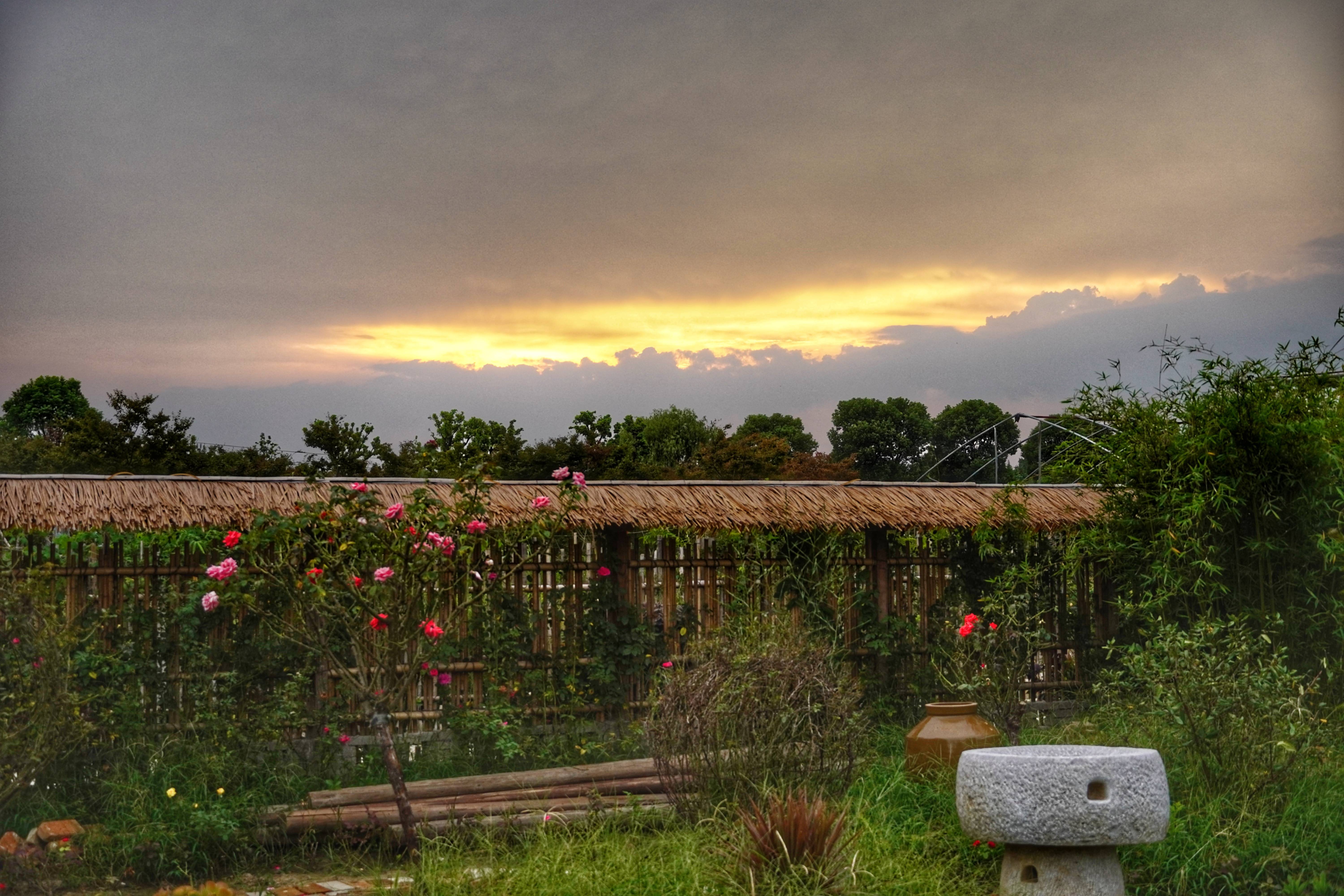 从报社到寺院<strong></p>
<p>莱特币交易平台</strong>，95后打工人把经历说成脱口秀