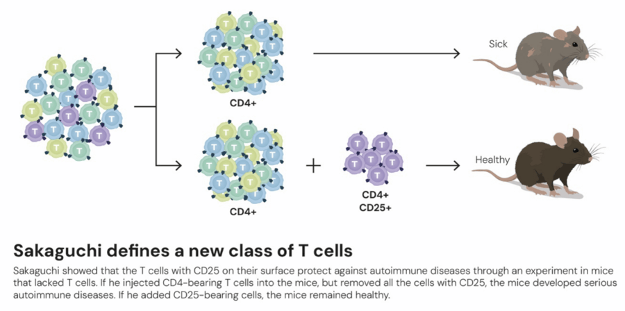这个诺奖迟到了30年<strong></p>
<p>区块链挖矿交易平台</strong>!三位科学家揭示免疫系统如何避免“自相残杀”
