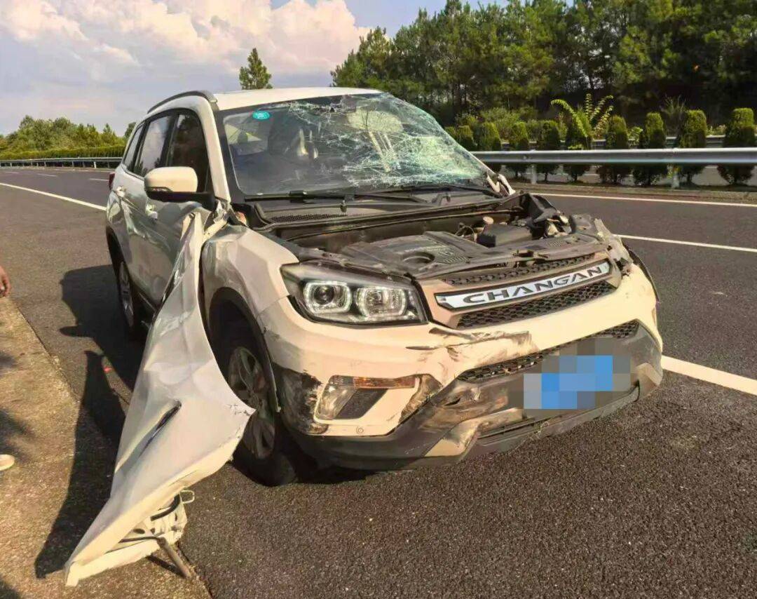 司机强行变道酿大祸<strong></p>
<p>区块链挖矿交易平台</strong>,反诬赖对方:“我要是撒谎就天打雷劈!”