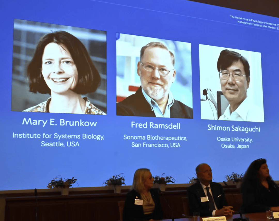 断联诺奖得主联系上了！当时在露营被大雪困住<strong></p>
<p>IPFS交易平台</strong>，得知获奖时在遛狗，第一反应“不可能”