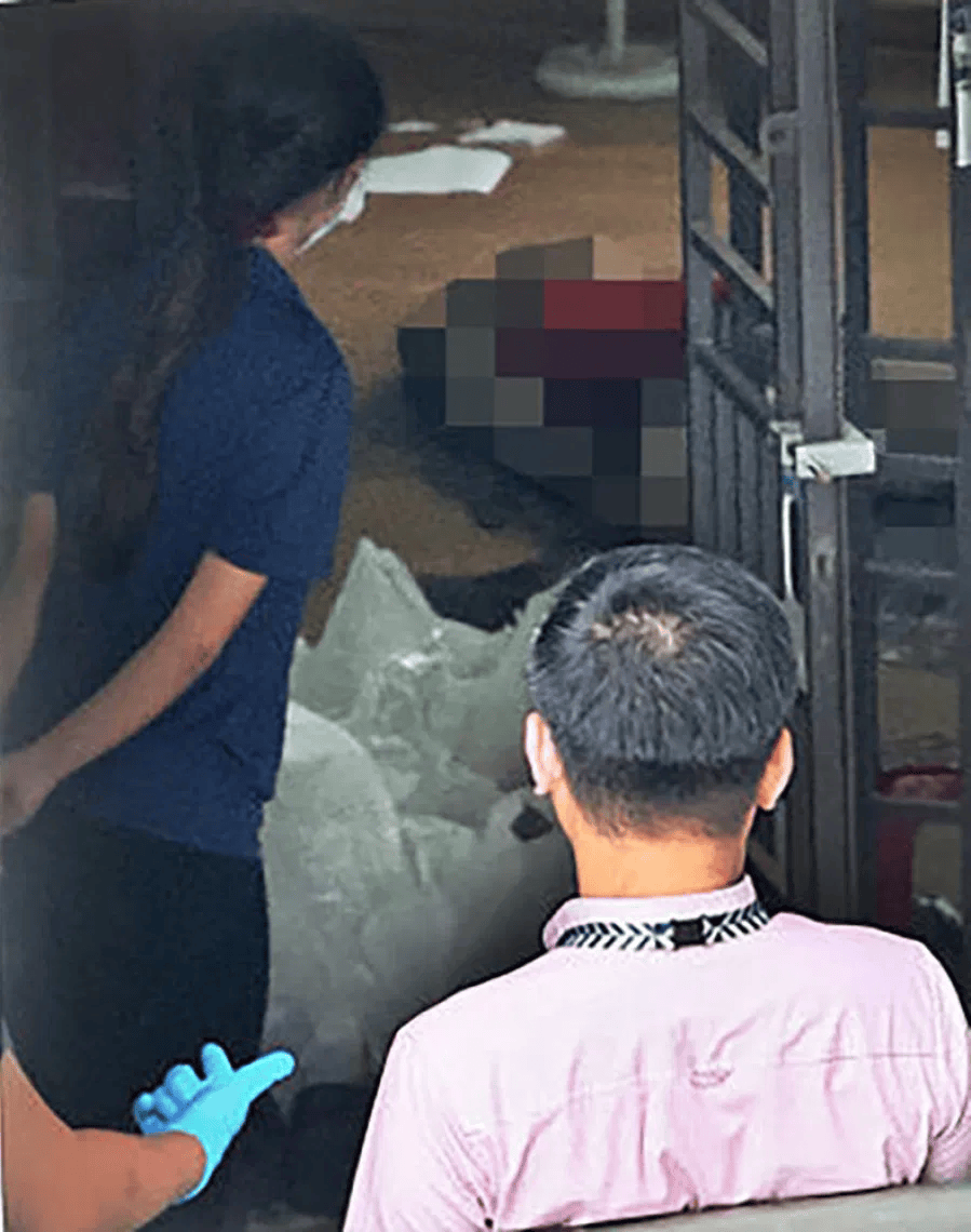 新加坡现双尸案:父亲成白骨<strong></p>
<p>火币交易官网</strong>,剑桥博士女儿疑饿死,一家来自东北