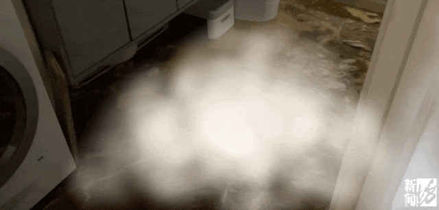 上海一业主推开家门瞬间懵了<strong></p>
<p>币安交易官网</strong>!精装房竟成“化粪池”……