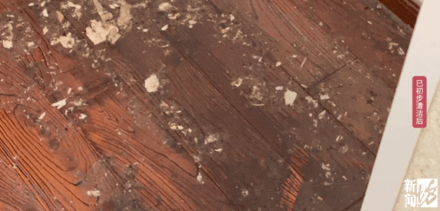 上海一业主推开家门瞬间懵了<strong></p>
<p>币安交易官网</strong>!精装房竟成“化粪池”……