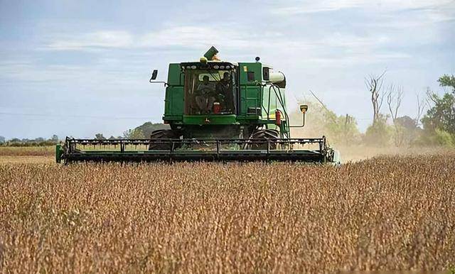 阿根廷继续卖中国大豆<strong></p>
<p>币安交易官网</strong>，美国放狠话，我使馆回应亮了：美方管不着