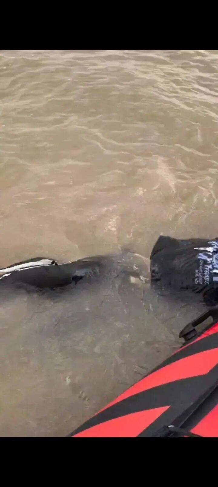 230斤重小伙酒后落水<strong></p>
<p>币安交易官网</strong>，漂浮7小时终获救……