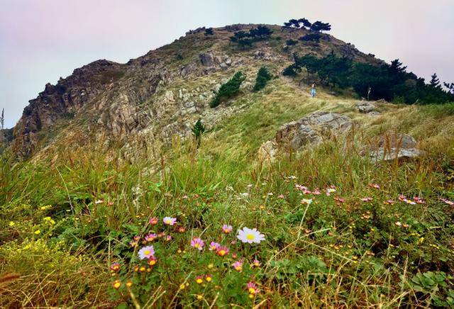 青岛“阿勒泰”爆火后<strong></p>
<p>OKEx交易官网</strong>,如何将“网红”变“长红”