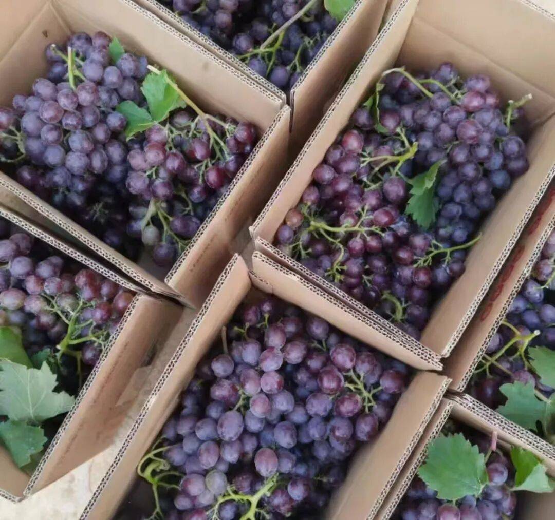 月入过万都难<strong></p>
<p>OKEx交易官网</strong>！00后主播逃离直播间