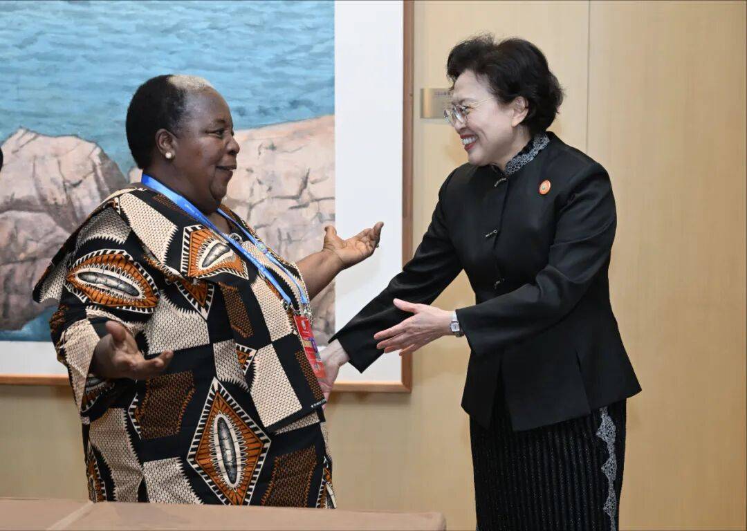 黄晓薇与出席全球妇女峰会的多国嘉宾亲切交流