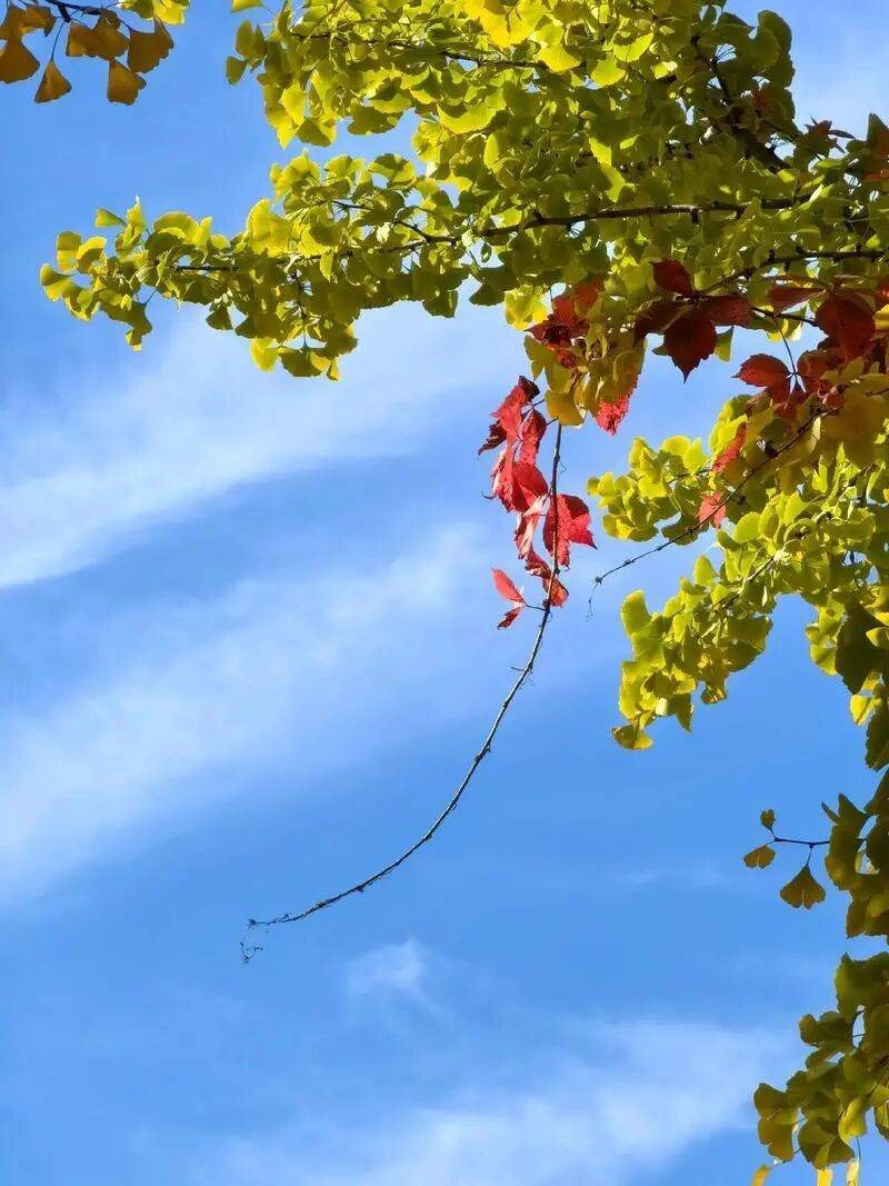 本周气温虽有起伏<strong></p>
<p>BTC交易官网</strong>，但整体寒意持续加码