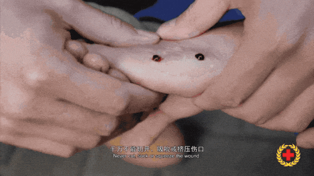 女子半夜上厕所<strong></p>
<p>比特币交易官网</strong>，马桶里突然窜出一条蛇！