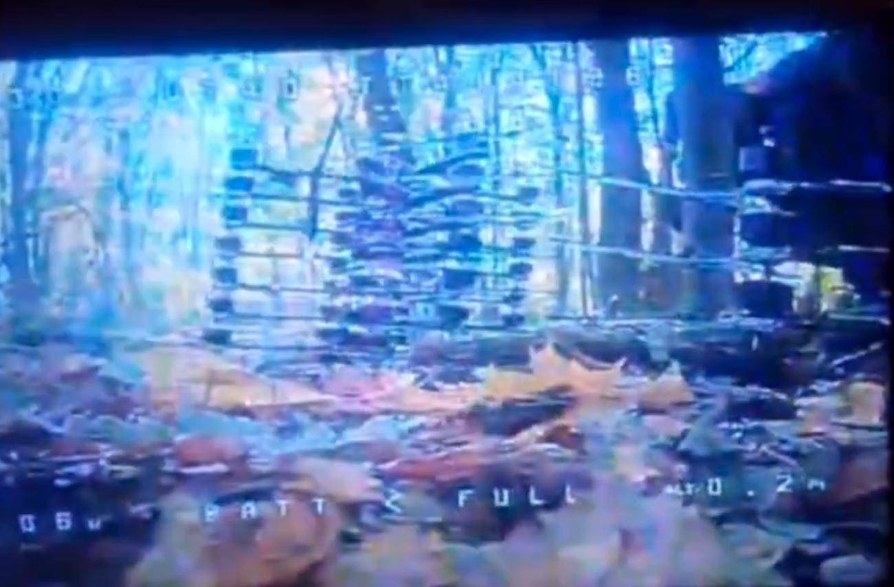 1万朝鲜特种兵凭空消失？苏梅全线告急<strong></p>
<p>比特币交易官网</strong>，乌克兰截获绝密前线情报