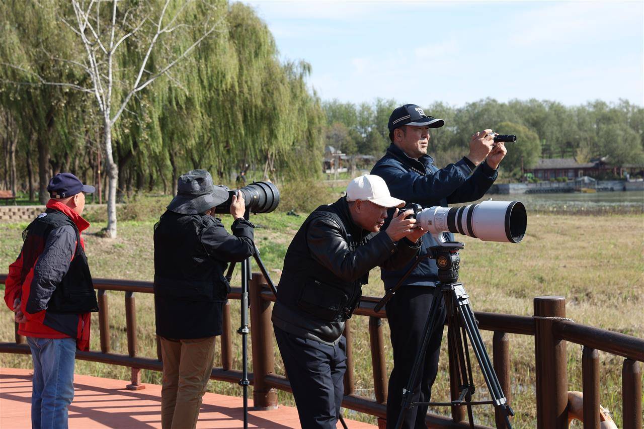 七旬退休大爷痴迷“打鸟”，宁可不吃不喝也要花几万元升级装备