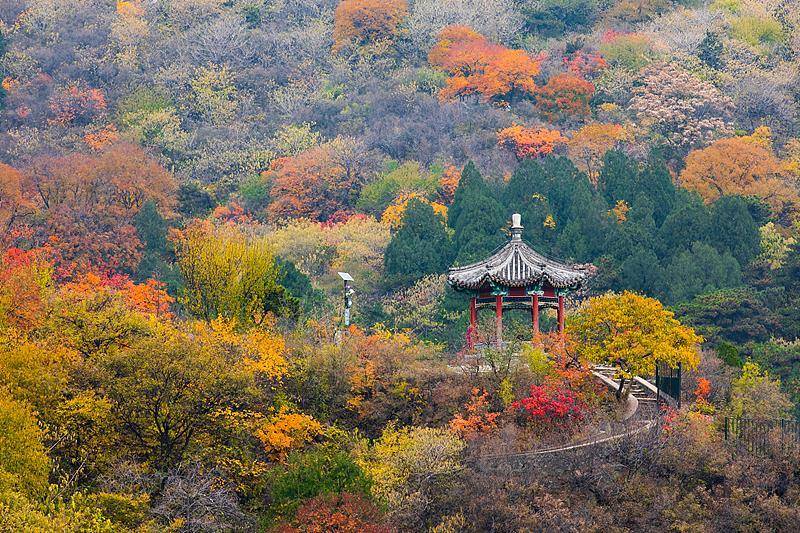 霜降已到<strong></p>
<p>ETH交易官网</strong>，全国红叶上线中！这些“出片宝地”藏不住了