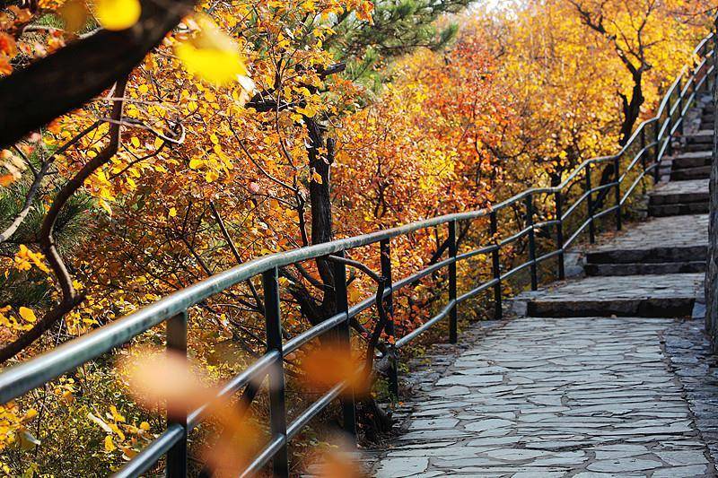 霜降已到<strong></p>
<p>ETH交易官网</strong>，全国红叶上线中！这些“出片宝地”藏不住了