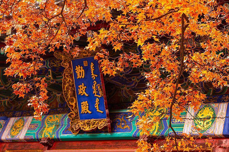 霜降已到<strong></p>
<p>ETH交易官网</strong>，全国红叶上线中！这些“出片宝地”藏不住了