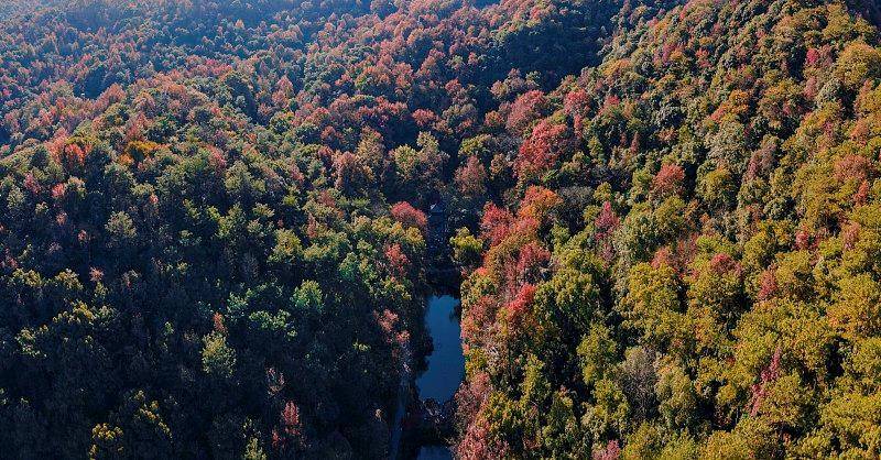 霜降已到<strong></p>
<p>ETH交易官网</strong>，全国红叶上线中！这些“出片宝地”藏不住了