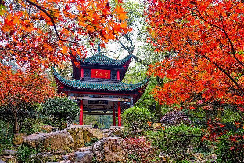 霜降已到<strong></p>
<p>ETH交易官网</strong>，全国红叶上线中！这些“出片宝地”藏不住了